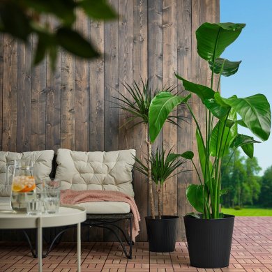 IKEA CITRONMELISS (ИКЕА ЦИТРОНМЕЛИСС) 40562512 фото - 6