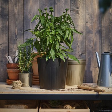 IKEA ECHINACEA (ИКЕА ECHINACEA) 40592383 фото - 3