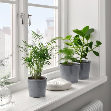 IKEA FJARILSBUSKE (ИКЕА ФЬАРИЛСБУСКЕ) 10586661 фото - 3