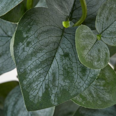 IKEA FEJKA (ИКЕА ФАЛЬШИВЫЙ) 20615272 фото - 3