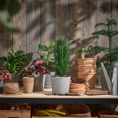 IKEA CHAMAECYPARIS (ИКЕА ШАМЕЦИПАРИС) 50535014 фото - 2