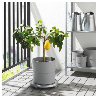 Кашпо NYPON - 4 IKEA Кашпо NYPON (ИКЕА НАЙПОН) 00395624 фото - 4