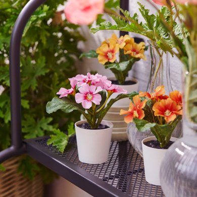 IKEA FEJKA (ИКЕА ФАЛЬШИВЫЙ) 50617689 фото - 2