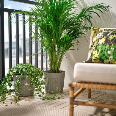 IKEA FRAKENVAXT (ИКЕА ФРАКЕНВАКСТ) 00610609 фото - 2