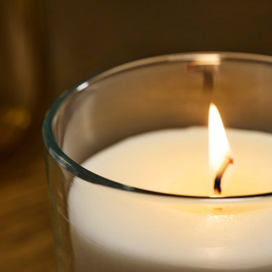 IKEA LOTSFAGEL (ИКЕА ЛОТСФАГЕЛЬ) 50608388 фото - 5