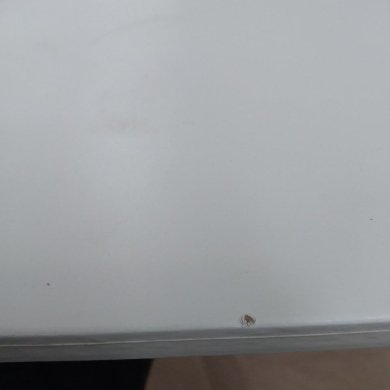 IKEA УЦІНКА Полиця BURHULT 59x20 см Білий brak/80400042 фото - 2