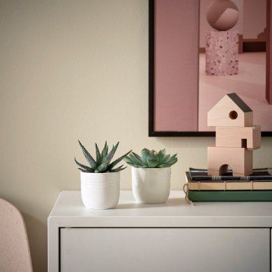 SUCCULENT - 2 IKEA SUCCULENT (ИКЕА СУККУЛЕНТНЫЙ) 00564443 фото - 2