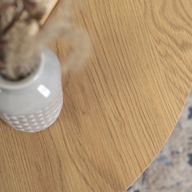 Журнальний стіл Mebel Elit LELLA Дуб золотий - 6 Журнальний стіл Mebel Elit LELLA Дуб золотий ME.LELLA/DZ/CZ/L фото - 6