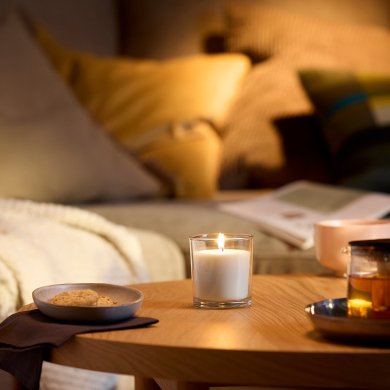 IKEA LOTSFAGEL (ИКЕА ЛОТСФАГЕЛЬ) 70608368 фото - 6