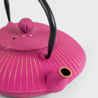 Чайник Homla ANDREAS 800 мл Розовый 240504 фото - 4