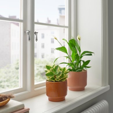 IKEA HONUNGSPALM (ИКЕА ХОНУНГСПАЛМ) 90595789 фото - 2