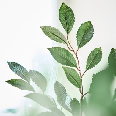 IKEA SMYCKA (ИКЕА СМЫЦКАЯ) 60605978 фото - 2