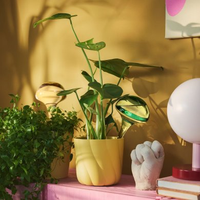 IKEA DOFTRIPS (ИКЕА ДОФТРИПС) 40611937 фото - 3