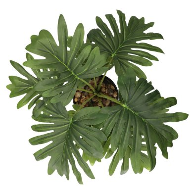 Штучна рослина в горщику Homla PALMS 13x41см | Зелений - 4 Штучна рослина в горщику Homla PALMS 13x41см | Зелений 162371 фото - 4