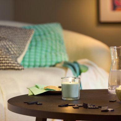 IKEA LOTSFAGEL (ИКЕА ЛОТСФАГЕЛЬ) 40608384 фото - 2