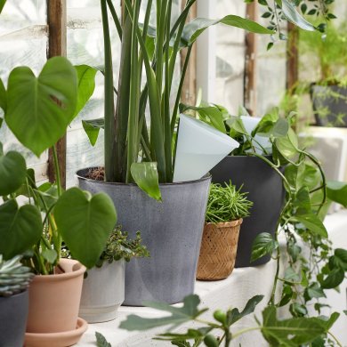 SVAMSKOG - 5 IKEA SVAMSKOG (ИКЕА СВАМСКОГ) 80570874 фото - 5