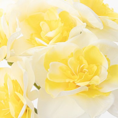 Искусственный букет Homla BLAST 37 см | Зеленый / Желтый 208372 фото - 2