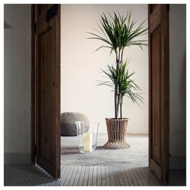 Ваза POMP - 2 IKEA Ваза POMP (ИКЕА ПОМП) 70109817 фото - 2