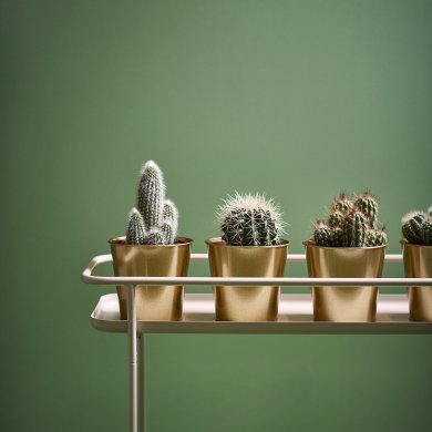 IKEA Кашпо DAIDAI (ИКЕА ДАИДАЙ) 70359420 фото - 30