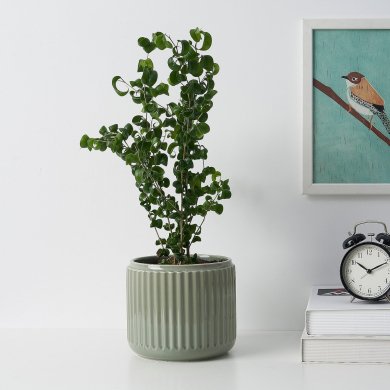 IKEA STILREN (ИКЕА СТИЛРЕН) 40598002 фото - 2