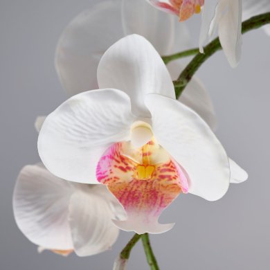 IKEA FEJKA (ИКЕА ФАЛЬШИВЫЙ) 70615335 фото - 2