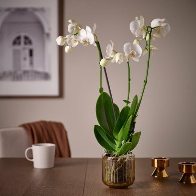 IKEA GRADVIS (ИКЕА ГРАДВИС) 00623292 фото - 3