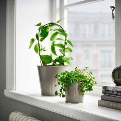IKEA CITRONMELISS (ИКЕА ЦИТРОНМЕЛИСС) 70574189 фото - 2
