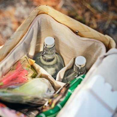 IKEA SOLUPPGANG (ИКЕА СОЛЮППГАНГ) 30621324 фото - 4