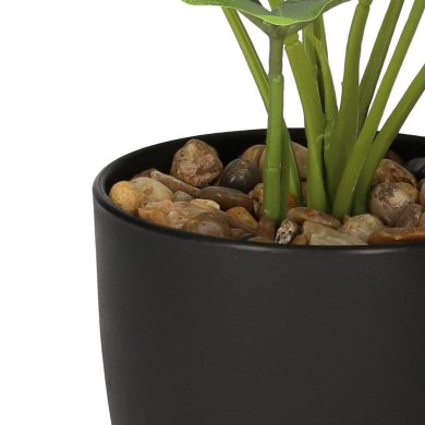 Штучна рослина в горщику Homla PALMS 13x41см | Зелений - 6 Штучна рослина в горщику Homla PALMS 13x41см | Зелений 162371 фото - 6