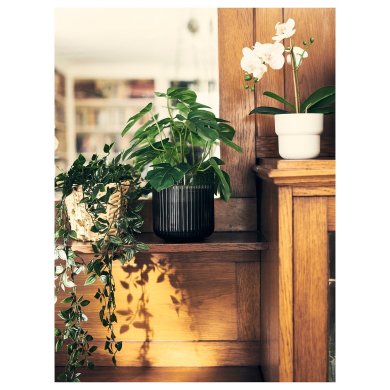 IKEA FEJKA (ИКЕА ФАЛЬШИВЫЙ) 60615232 фото - 3