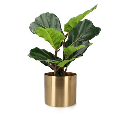 Кашпо Homla GIRONA 15x13 см | Золотой - 4 Кашпо Homla GIRONA 15x13 см | Золотой 200040 фото - 4