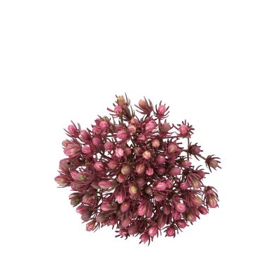 Букет штучних квітів Homla Mandra 30 см | Рожевий - 3 Букет штучних квітів Homla Mandra 30 см | Рожевий 209103 фото - 3