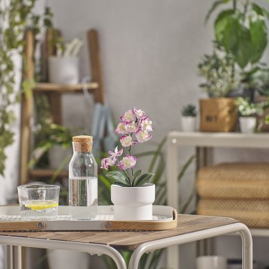 IKEA FEJKA (ИКЕА ФЕЙКА) 50593216 фото - 2