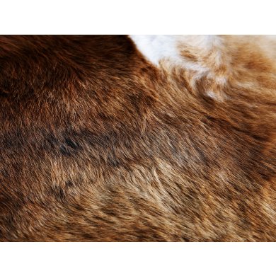 Ковер (коровья шкура) KOLDBY Коричневый - 16 IKEA Ковер (коровья шкура) KOLDBY Коричневый (ИКЕА КОЛЬДБИ) 40222933 фото - 16