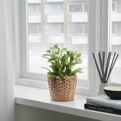 IKEA Кашпо FRIDFULL (ИКЕА FRIDFULL) 90155870 фото - 12