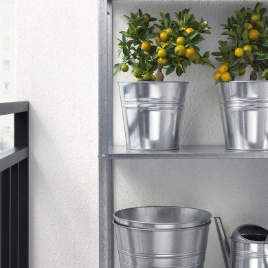 IKEA CITRUS (ИКЕА ЦИТРУСОВЫЕ) 30540361 фото - 4