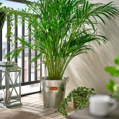 IKEA KORKGRAN (ИКЕА КОРКГРАН) 40611980 фото - 3