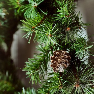 IKEA VINTERFINT (ИКЕА ВИНТЕРФИНТ) 50606558 фото - 3