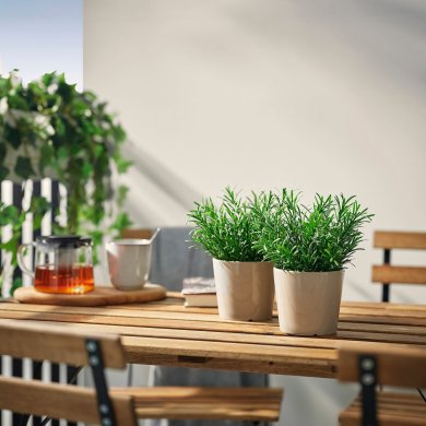 IKEA FEJKA (ИКЕА ФАЛЬШИВЫЙ) 80610747 фото - 3