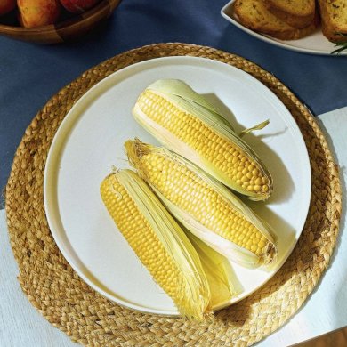 Сервировочная тарелка Homla SANTANA 30х2,5 см Белый - 5 Сервировочная тарелка Homla SANTANA 30х2,5 см Белый 226508 фото - 5