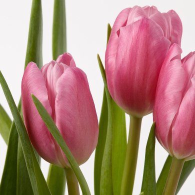 LOKARYD - 3 IKEA LOKARYD (ИКЕА ЛОКАРИД) 80540368 фото - 3