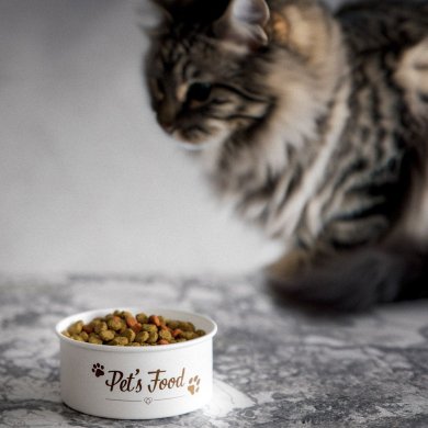 Миска для животных Homla DINGO 13х6 см Белый 226448 фото - 4