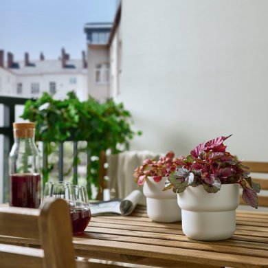 BEGONIA - 2 IKEA BEGONIA (ИКЕА БЕГОНИЯ) 90535012 фото - 2