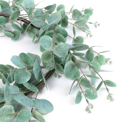 Венок Homla EUCALYPTUS | Зеленый - 3 Венок Homla EUCALYPTUS | Зеленый 209109 фото - 3