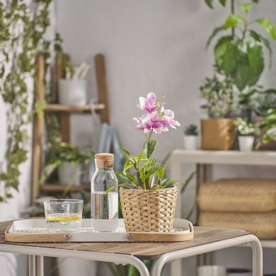 IKEA Кашпо FRIDFULL (ИКЕА FRIDFULL) 90155870 фото - 3