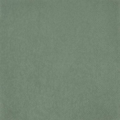 Набор салфеток Duka DAGLIG 33x33 см 20 шт Зеленый - 2 Набор салфеток Duka DAGLIG 33x33 см 20 шт Зеленый 2220586 фото - 2