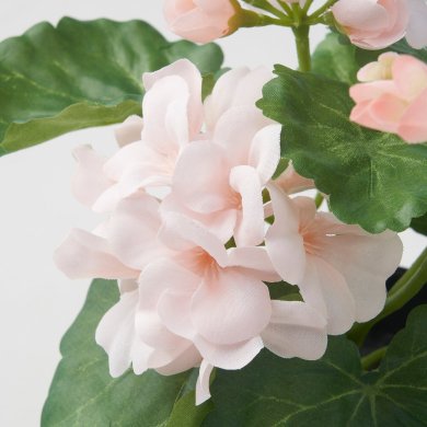 IKEA FEJKA (ИКЕА ФЕЙКА) 70571685 фото - 4