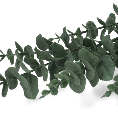 Искусственная ветвь Homla EUCALYPTUS 95 см | Зеленый - 4 Искусственная ветвь Homla EUCALYPTUS 95 см | Зеленый 208376 фото - 4