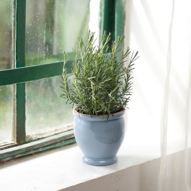 TRUMPETBUSKE - 7 IKEA TRUMPETBUSKE (ИКЕА ТРУМПЕТБУСК) 90563793 фото - 7