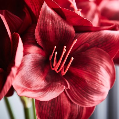 IKEA VINTERFINT (ИКЕА ВИНТЕРФИНТ) 90606603 фото - 4